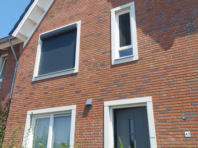 Samenwonen