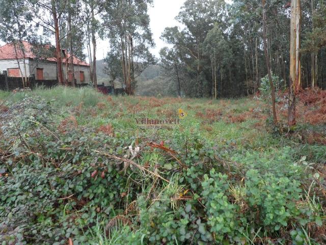 SAMPAYO VIGO, TERRENO 2.000. M2