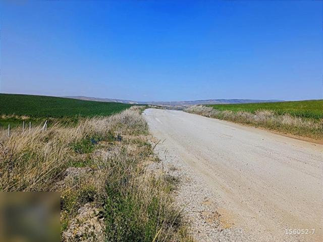 SAMSUN YOLUNA YAKIN TELLE ÇEVRİLİ 1200m2 TAPULU TARLA HİSSESİ