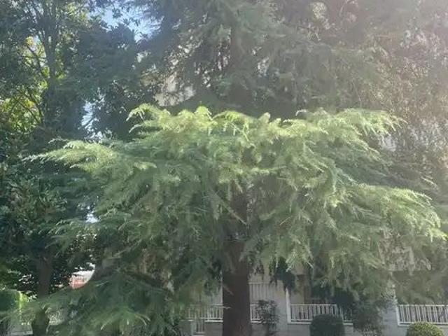 Sant Cugat Del Vallès