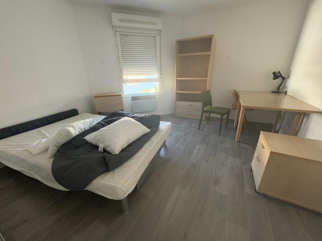 Sant Etienne Faculté Tréfilerie: appartement meublé de 21m2