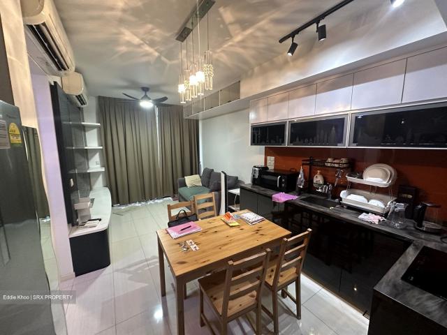 Sant Ritz D13, Condominium