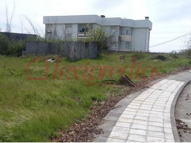 Santa Comba Dão Santa Comba Dão LS101014235