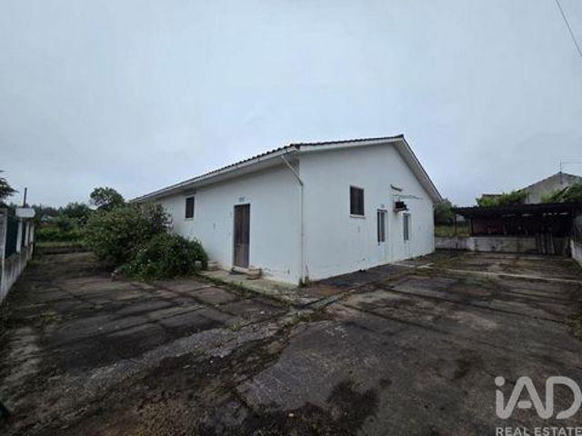 Santa Comba Dao Viseu 102760369