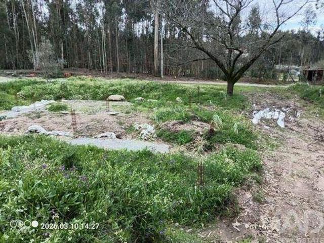 Santa Comba Dao Viseu 103344192