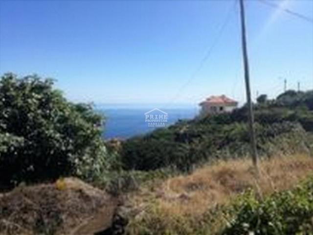 Santa Cruz Ilha da Madeira 43087792