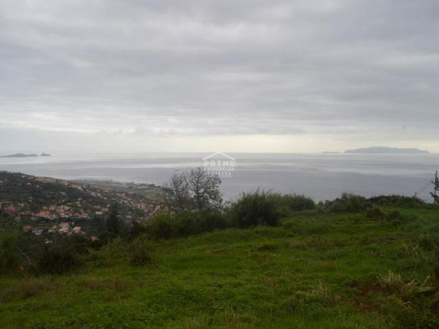 Santa Cruz Ilha da Madeira 49412842
