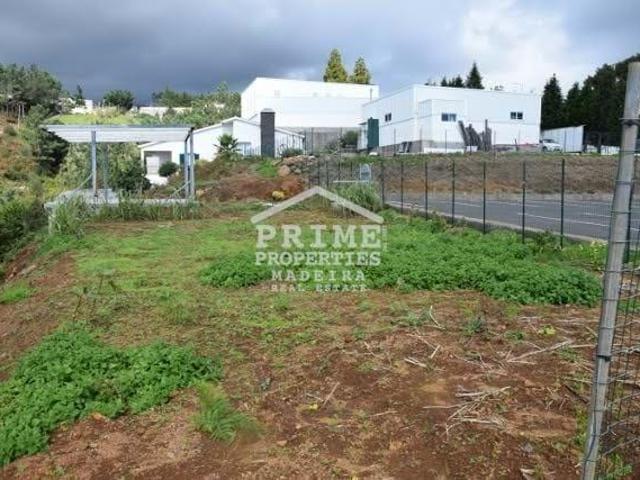 Santa Cruz Ilha da Madeira 63730981