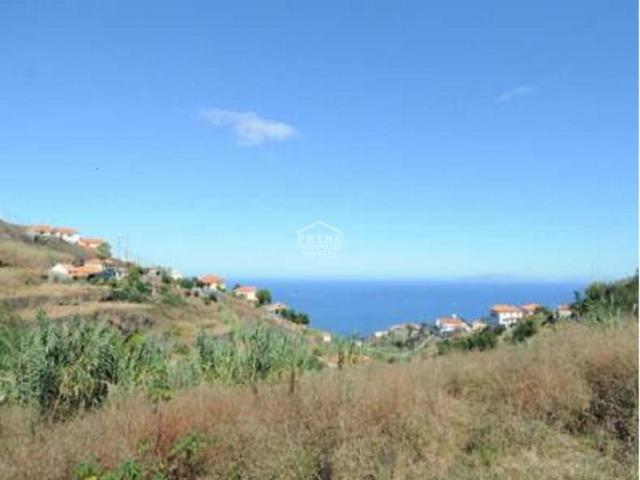 Santa Cruz Ilha da Madeira 63730985