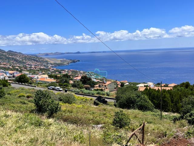 Santa Cruz Ilha da Madeira 66430685
