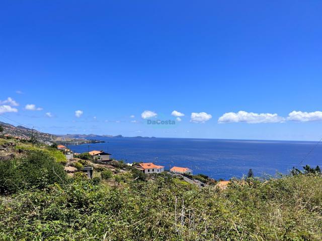 Santa Cruz Ilha da Madeira 66430686