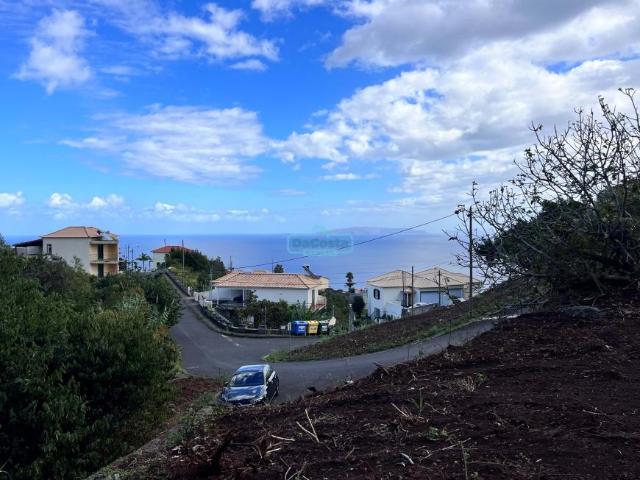 Santa Cruz Ilha da Madeira 70350307