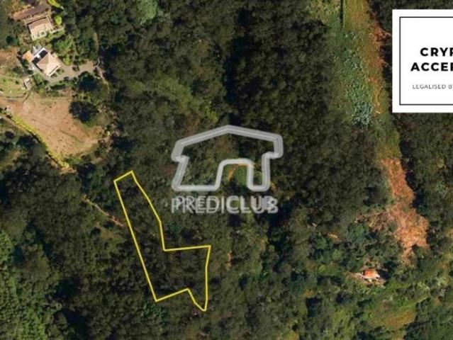 Santa Cruz Ilha da Madeira 86681074