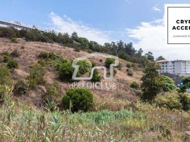 Santa Cruz Ilha da Madeira 86681033