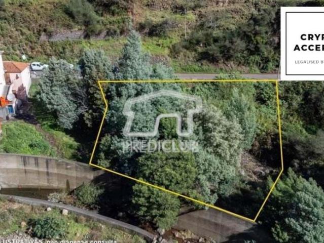 Santa Cruz Ilha da Madeira 86681311