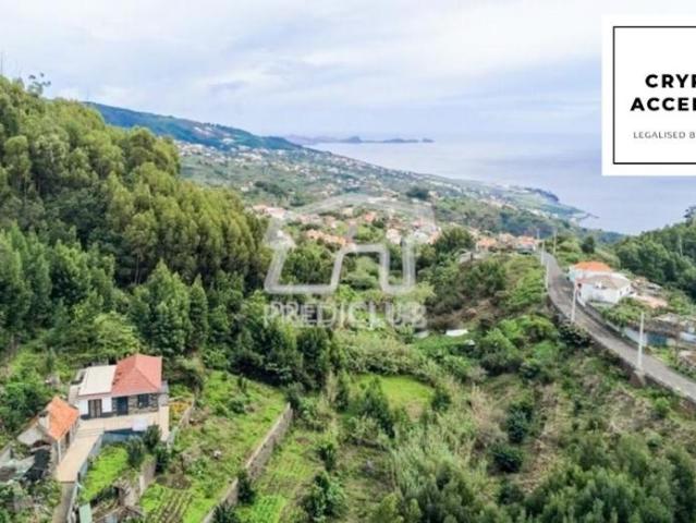 Santa Cruz Ilha da Madeira 86681753