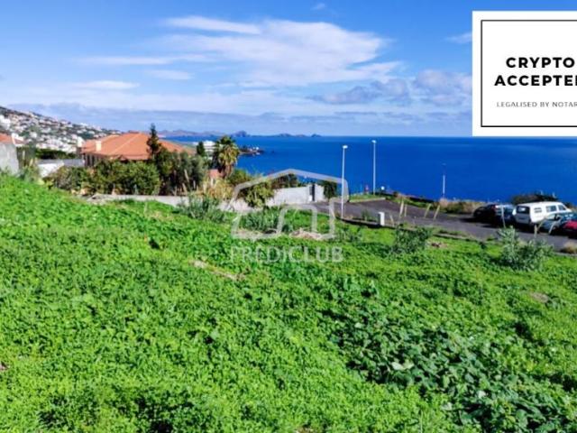 Santa Cruz Ilha da Madeira 86681766