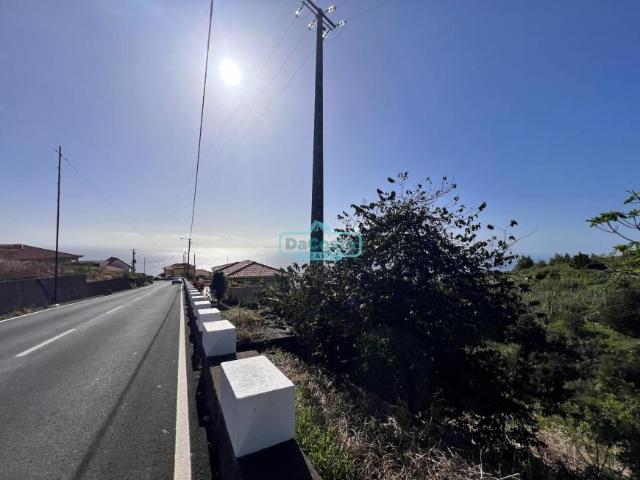 Santa Cruz Ilha da Madeira 89258030