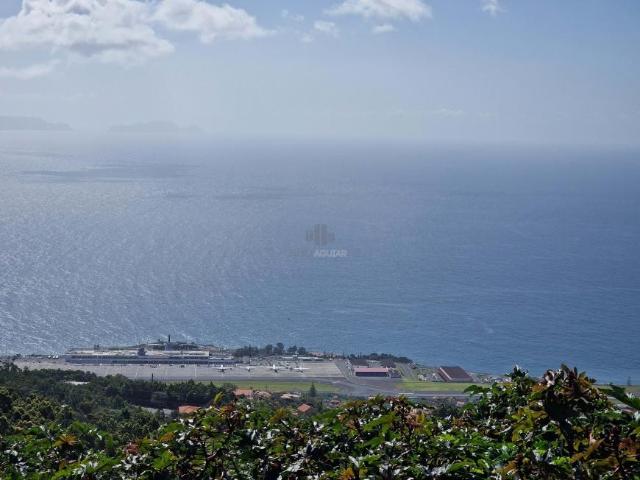 Santa Cruz Ilha da Madeira 90531663