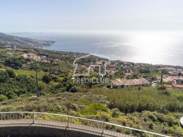 Santa Cruz Ilha da Madeira 92224461