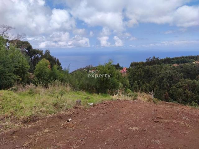 Santa Cruz Ilha da Madeira 94929388