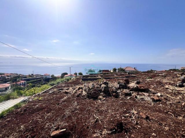 Santa Cruz Ilha da Madeira 97381860