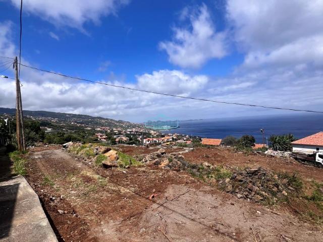 Santa Cruz Ilha da Madeira 97381862
