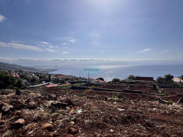 Santa Cruz Ilha da Madeira 97633292