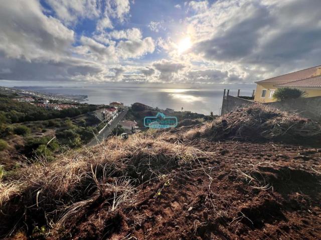 Santa Cruz Ilha da Madeira 101950361