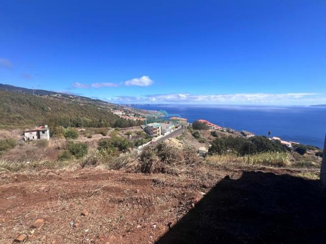 Santa Cruz Ilha da Madeira 101950363