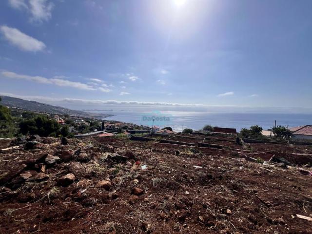 Santa Cruz Ilha da Madeira 101018402