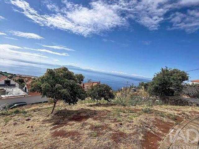 Santa Cruz Ilha Da Madeira 103572390