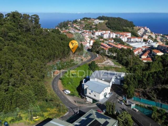 Santa Cruz Ilha da Madeira 103178322
