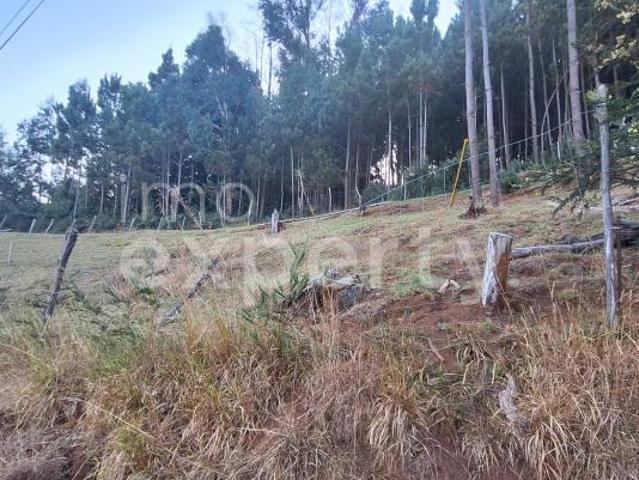 Santa Cruz Ilha da Madeira 104796800