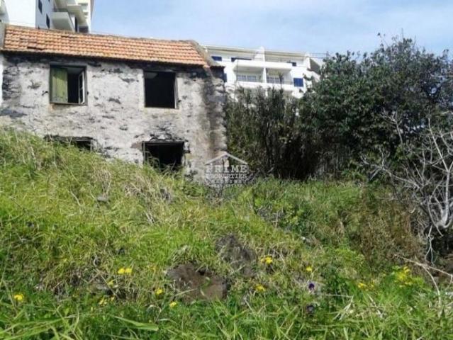 Santa Cruz Ilha da Madeira LS49412834