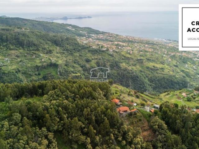 Santa Cruz Ilha da Madeira LS86681808