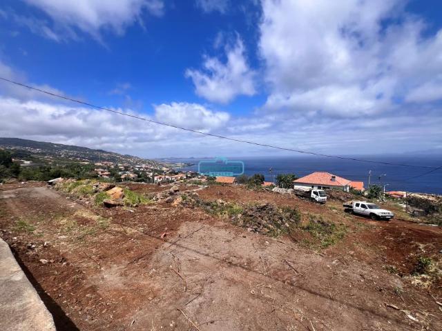 Santa Cruz Ilha da Madeira LS97381856