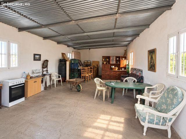 SANTA FE DE MONDÚJAR ALMERÍA Finca de regadío en producción con nave, balsa de riego y olivos
