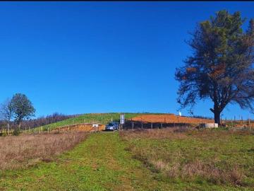Santa Juana, Parcela 1 ha. en Colico bajo Sta. Juana 73597