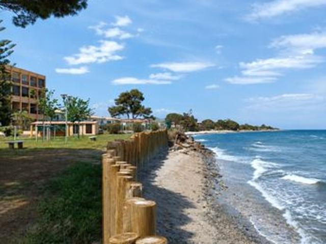 Santa lucia di moriani – appartement t1 meublé avec terrasse – résidence avec piscine