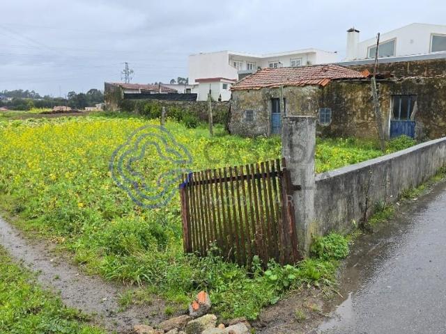 Santa Maria da Feira