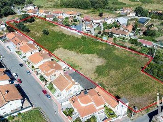 Santa Maria Da Feira Aveiro 93359935