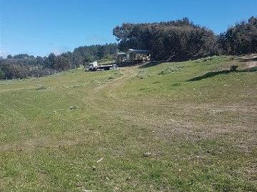 Santa María, Parcela en venta en navidad