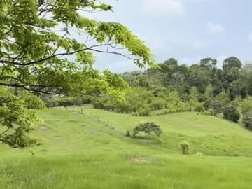 Lotes y Terrenos en Santa Rita | venta | Chorrera Terreno a La Venta en Una Comunidad Campestre Privada!:USD 551000.00