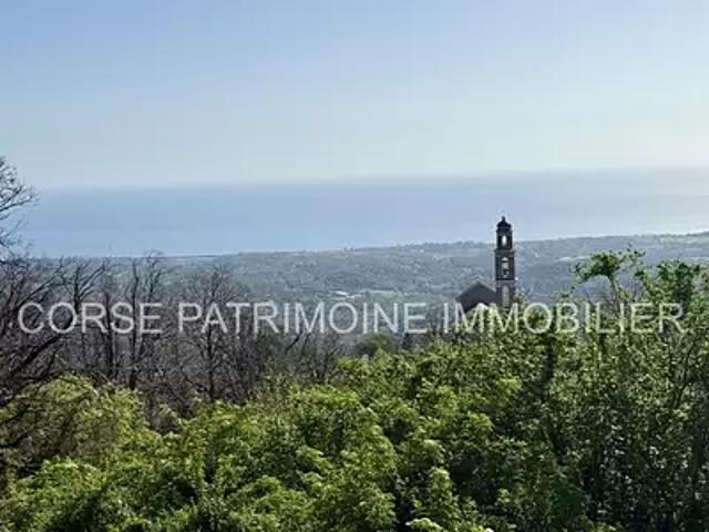 Sant'Andréa di Cotone 20221 Achat / Vente maison 5 pièces t5 terrasse