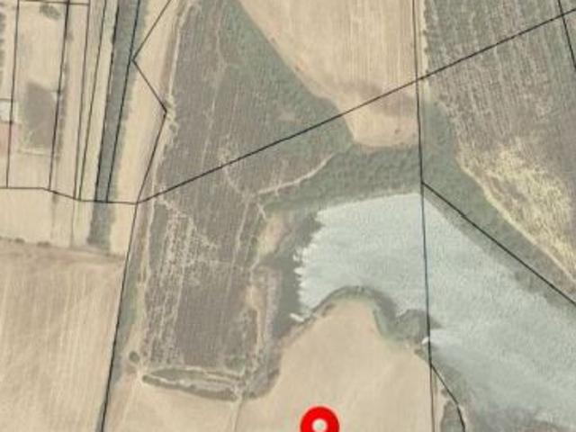 SANTADI SU Localit CRABI' TERRENO IRRIGUO con LAGO Mq 106.000 1,50 €/m tratt