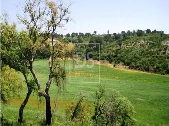 Santarém Tomar 103417185