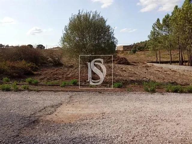 Santarém Tomar 103557465