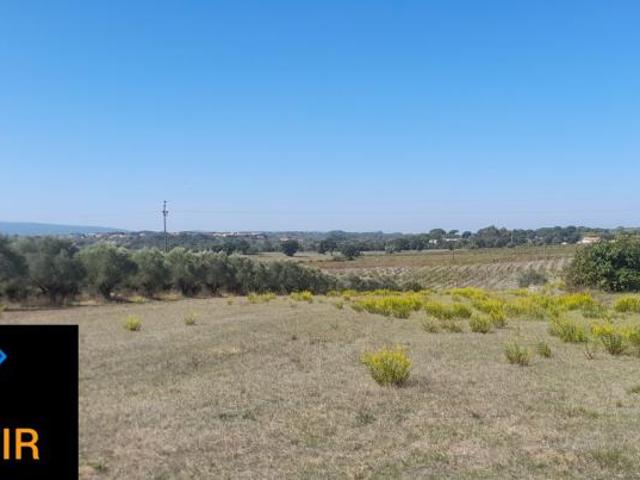 Santarém Tomar 2305 LS98918494