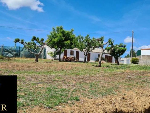 Santarém Tomar 2305 LS98918510
